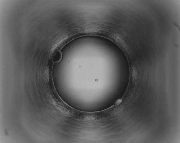 X0000103460684200809121604