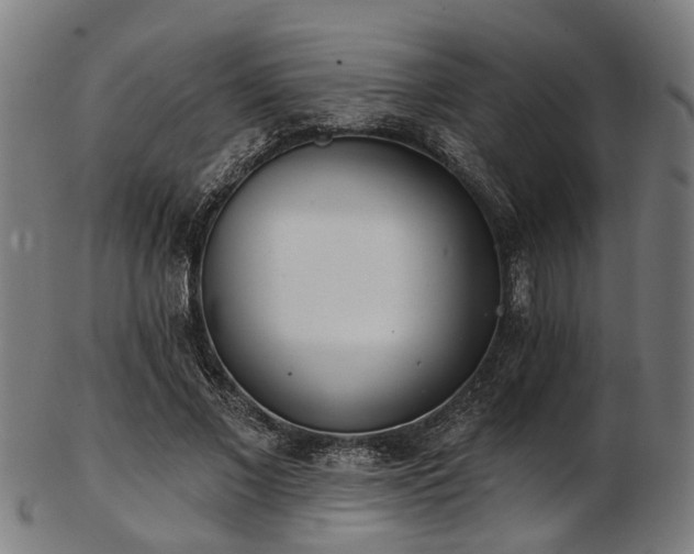 X0000103460685200809121604