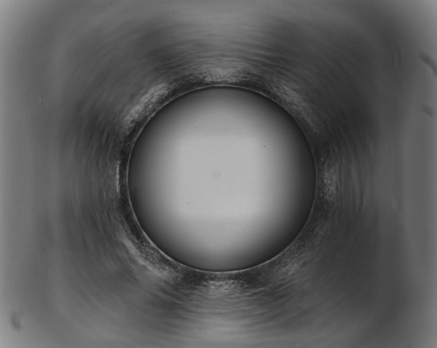 X0000103460686200809121604