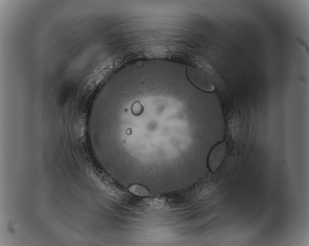 X0000103460687200809121604