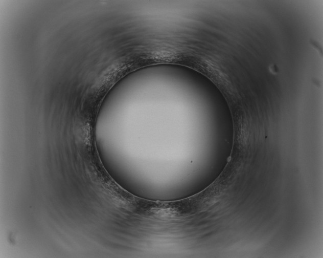 X0000103460689200809121604