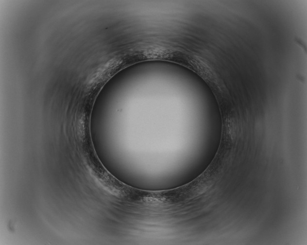X0000103460690200809121604