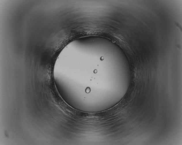 X0000103460691200809121604