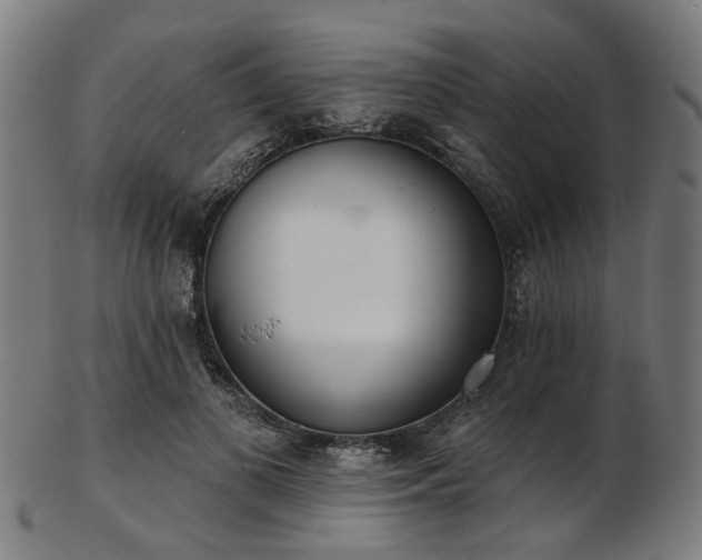 X0000103460693200809121604