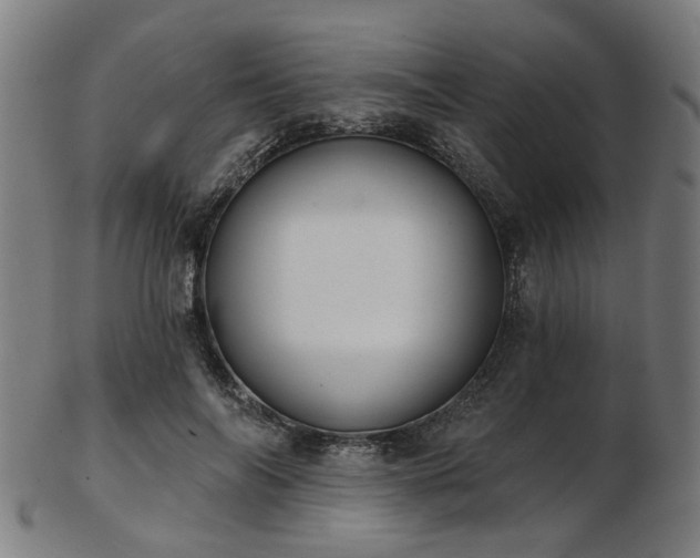 X0000103460694200809121604