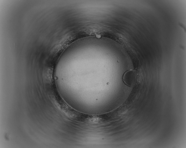 X0000103460695200809121604
