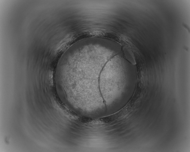 X0000103460696200809121604