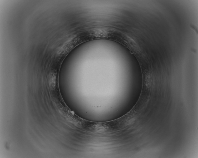 X0000103460697200809121604