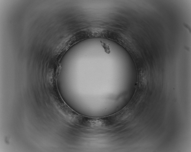 X0000103460698200809121604