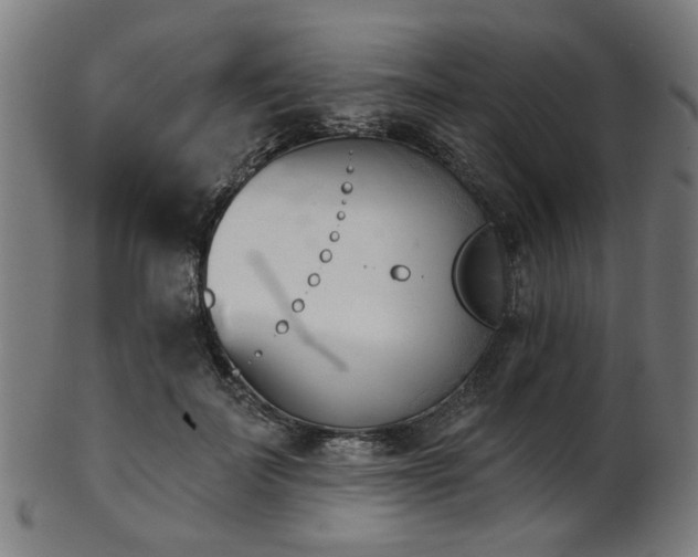 X0000103460699200809121604