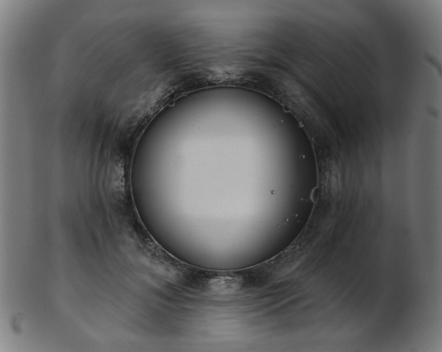 X0000103460700200809121604