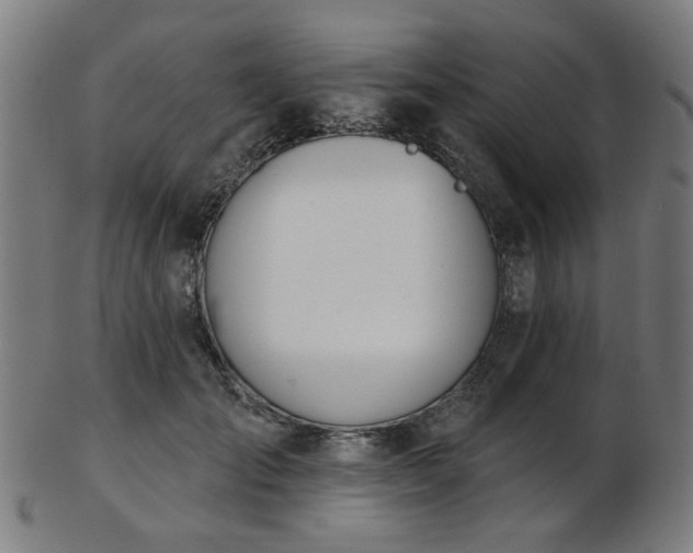 X0000103460701200809121604
