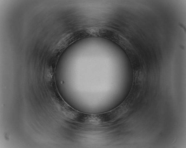 X0000103460702200809121604