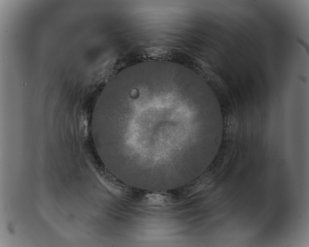 X0000103460703200809121604