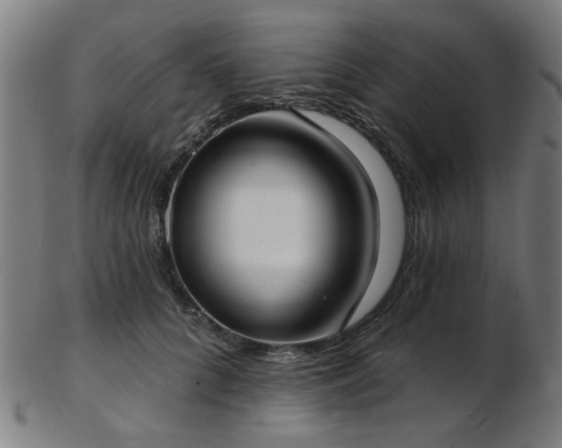 X0000103460704200809121604