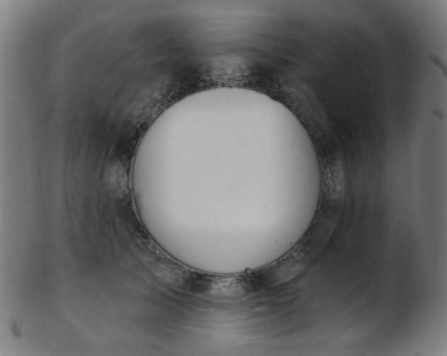 X0000103460705200809121604