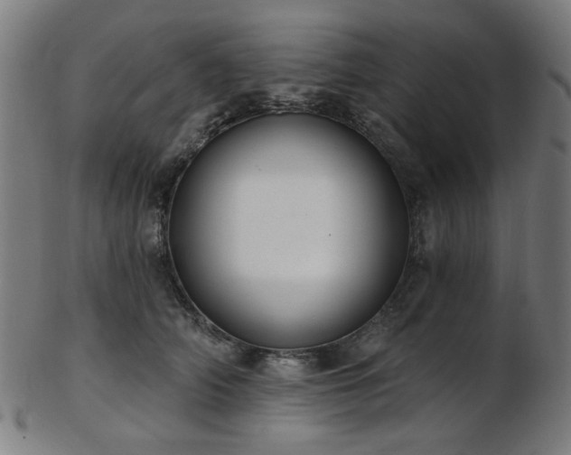 X0000103460706200809121604