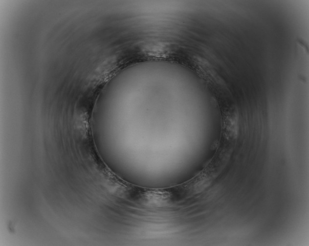 X0000103460707200809121603