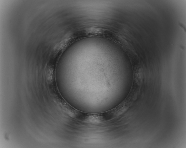 X0000103460708200809121603