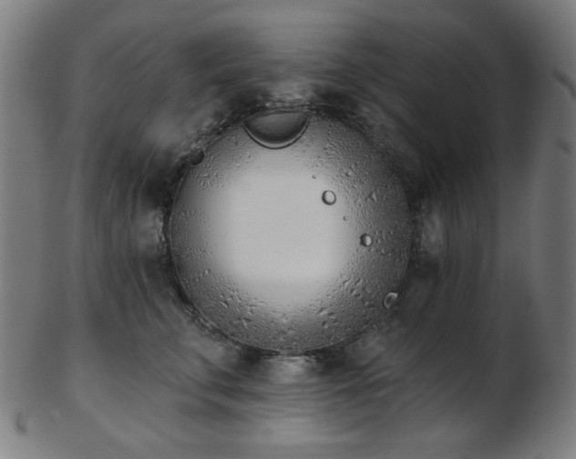 X0000103460711200809121603