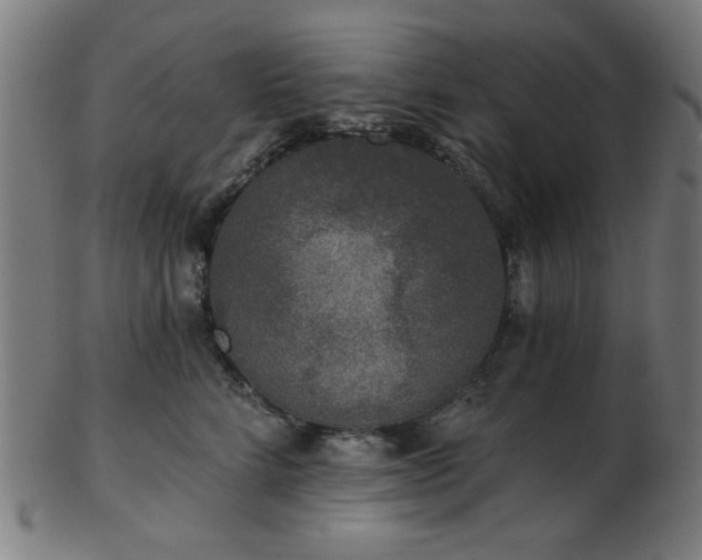 X0000103460712200809121603