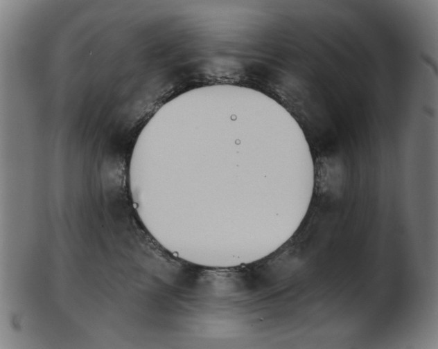 X0000103460713200809121603