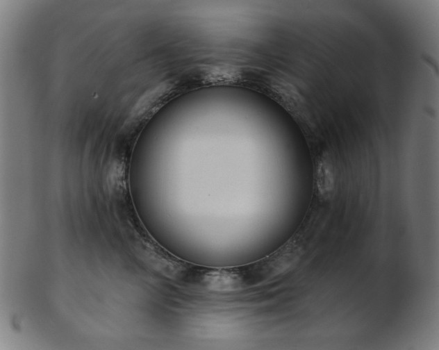 X0000103460714200809121603