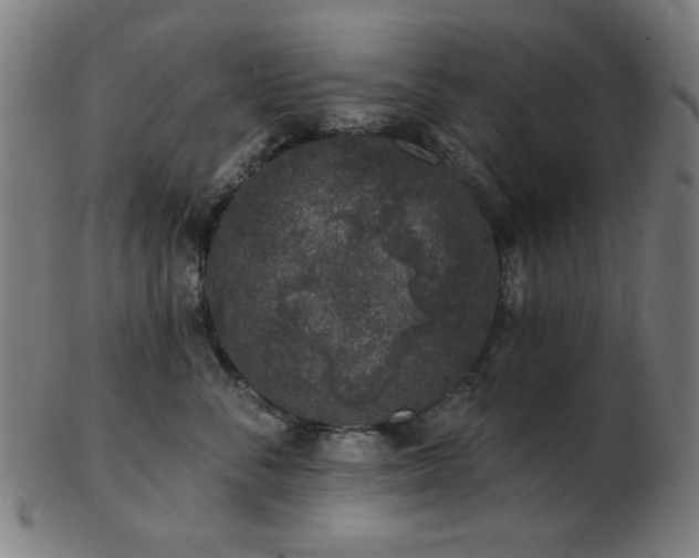 X0000103460716200809121603