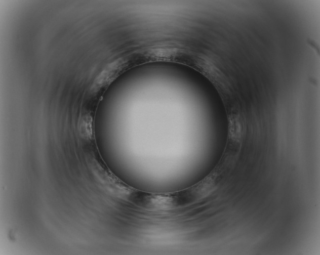 X0000103460718200809121603