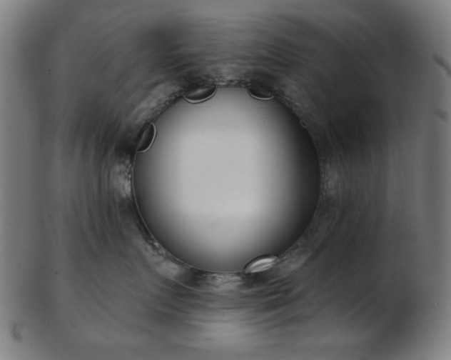 X0000103460719200809121603