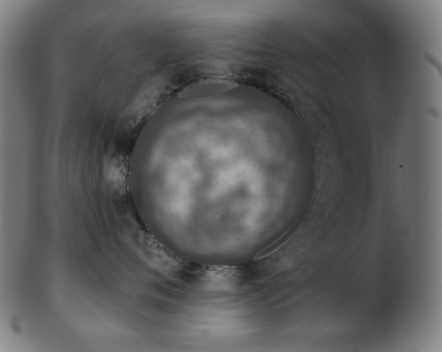 X0000103460720200809121603