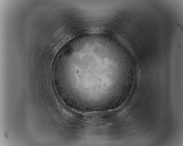 X0000103460721200809121603