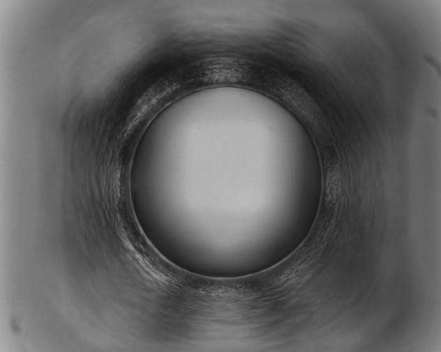 X0000103460722200809121603