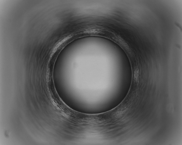 X0000103460724200809121603