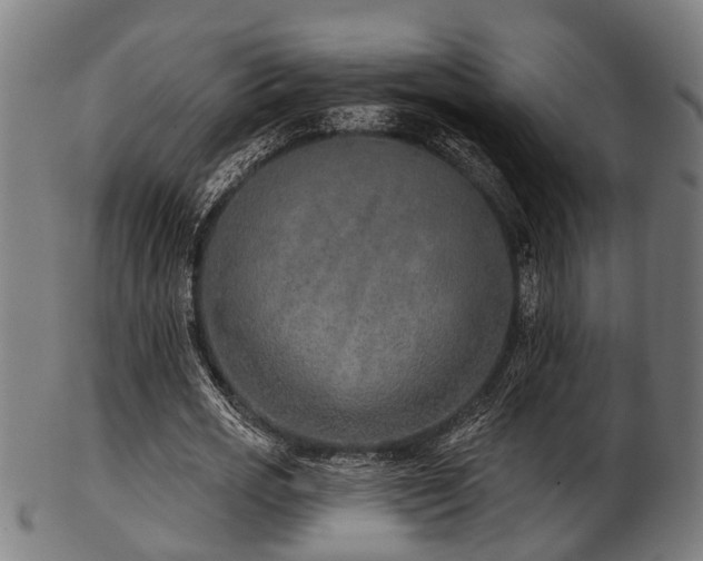 X0000103460725200809121603