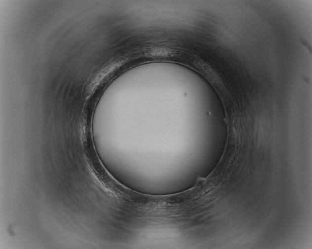 X0000103460728200809121603