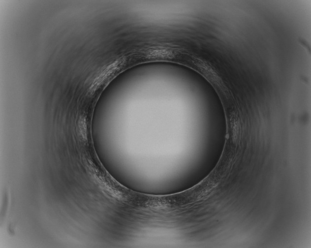 X0000103460729200809121603