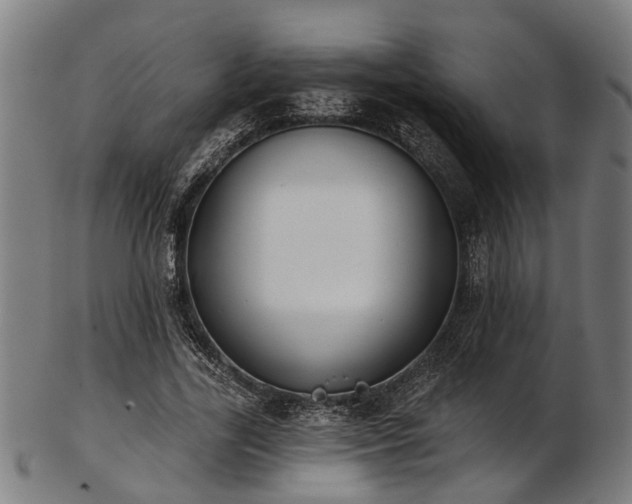 X0000103460731200809121603