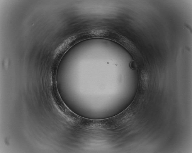 X0000103460734200809121603