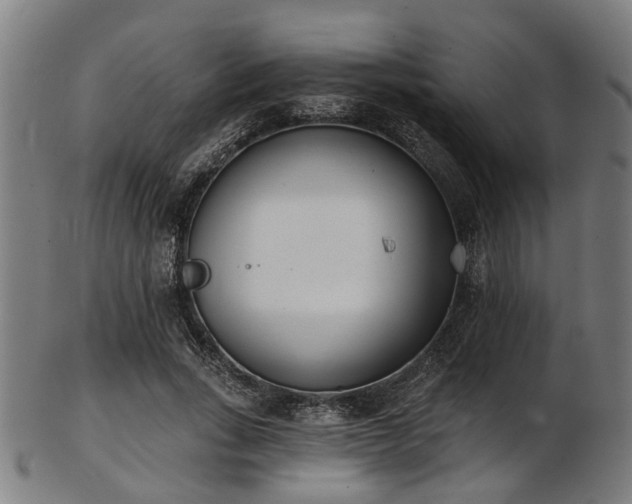 X0000103460735200809121603