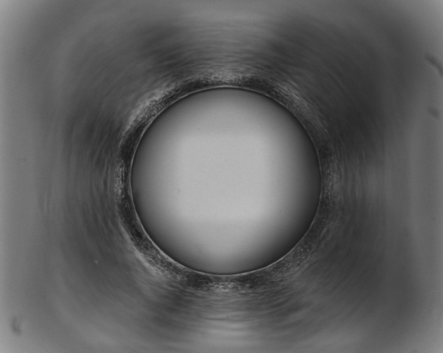 X0000103460736200809121603