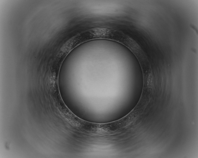 X0000103460737200809121603