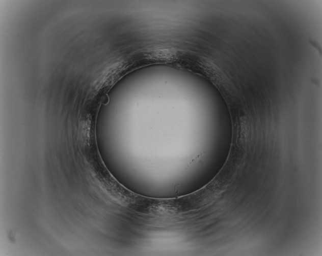 X0000103460739200809121603