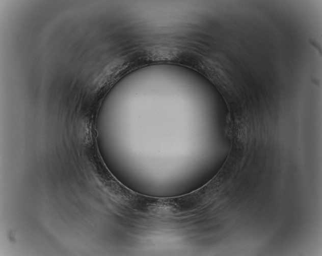 X0000103460743200809121603