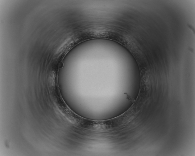 X0000103460744200809121603