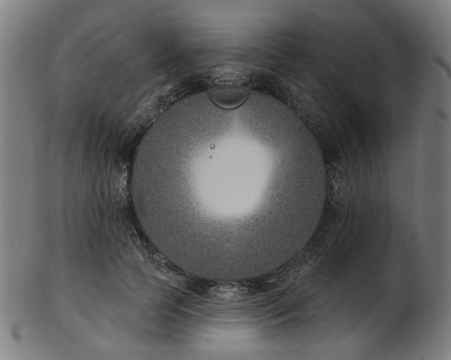 X0000103460745200809121603