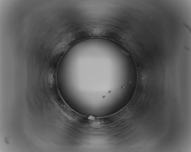 X0000103460746200809121603