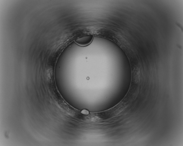 X0000103460747200809121603