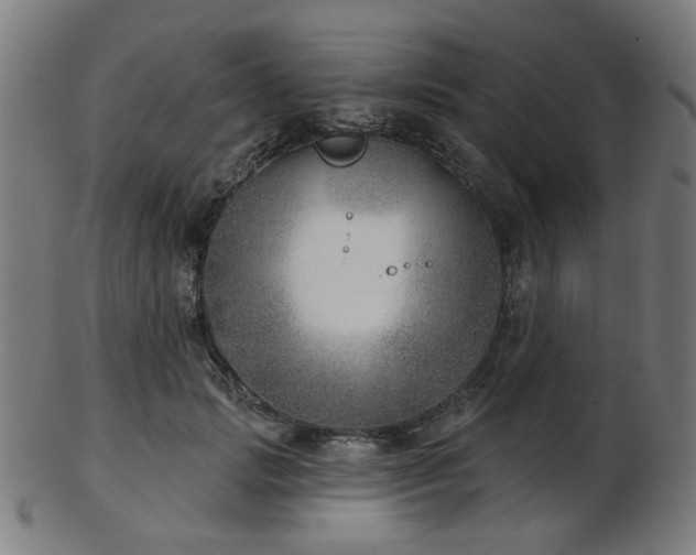 X0000103460749200809121603