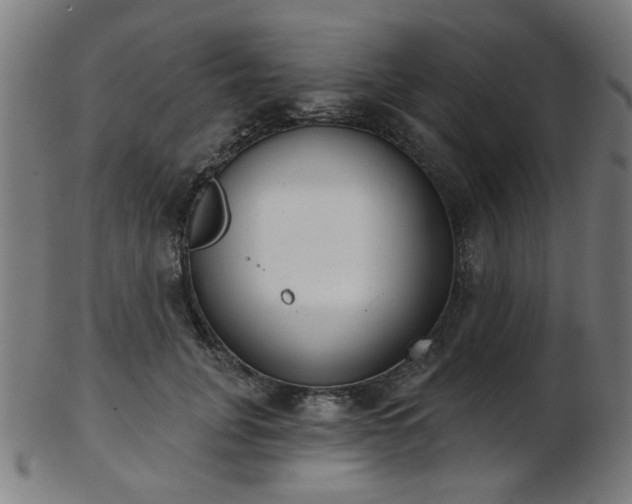 X0000103460751200809121603